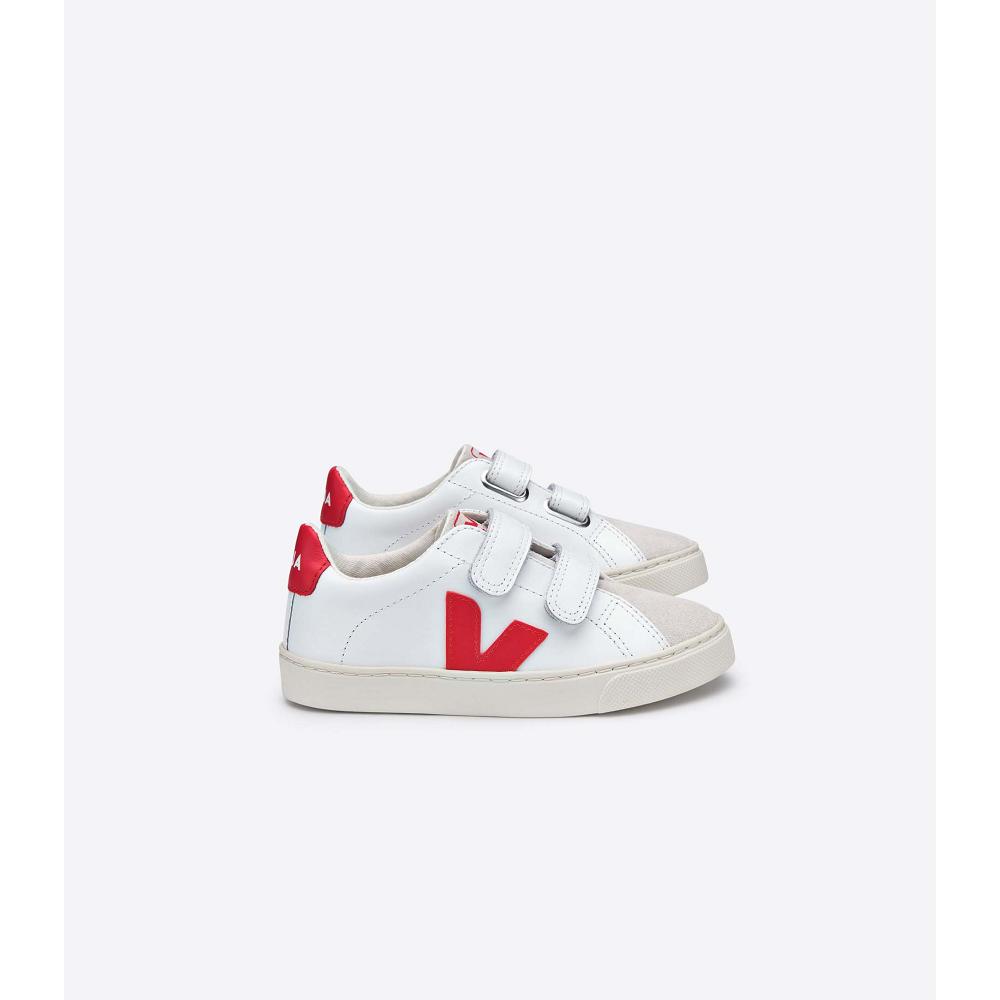 Kids\' Veja ESPLAR LEATHER Sneakers White/Red | SG 811ILH